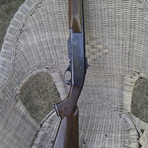 IMAG0451.jpg