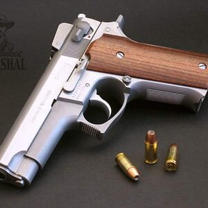 SWm659.jpg