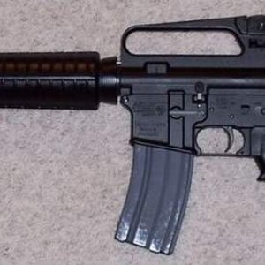 dpms2.jpg