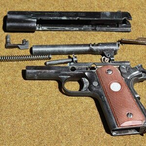 1911_4.jpg