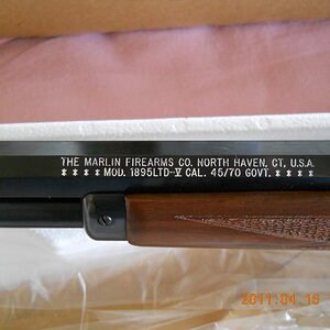 guns131.jpg