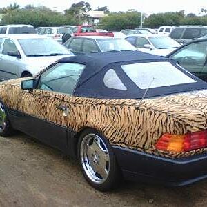 Tiger+Stripe+SL+1.jpg