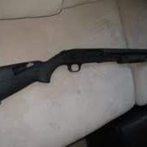 gun1.jpg