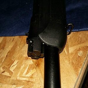 Saiga 12 (4).jpg