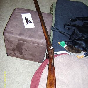 DSCI0393.jpg