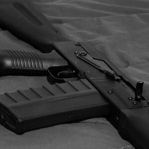 308.jpg