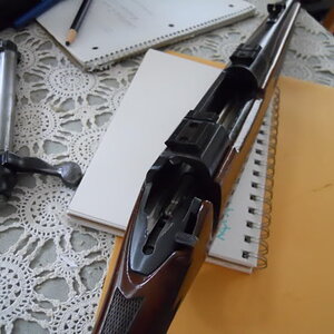 DSCN0185.jpg