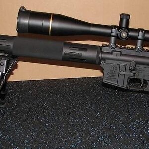 varmint1.JPG