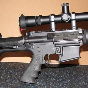 varmint5.JPG