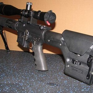 varmint7.JPG