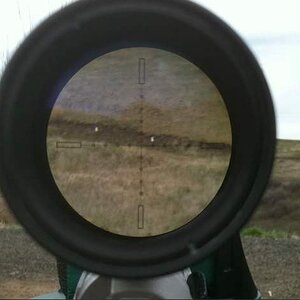 12squirrel480yds.jpg