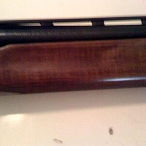 mossberg1.jpg