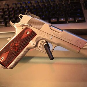 springer02.jpg
