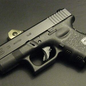 fin-1.jpg