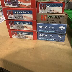 0B6BC7DB-5B7B-4060-99FE-EF0EC9DDC641.jpeg