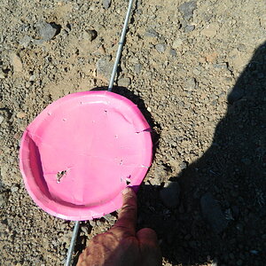 DSCN3120.JPG