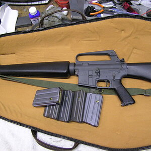 ar-15 colt 001.JPG