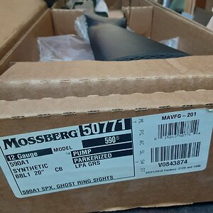 mossb2.jpg